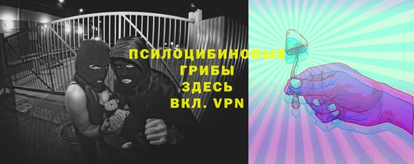 гашик Абаза