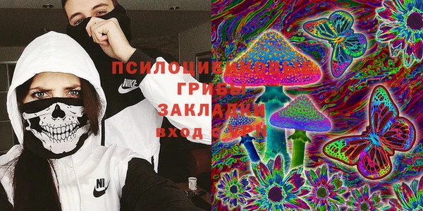 кокс Няндома