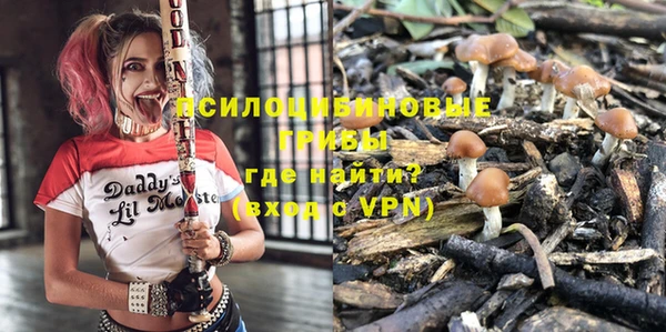 дживик Нягань