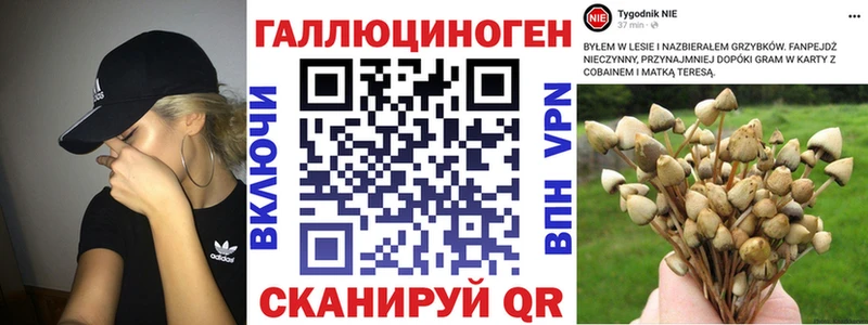 Галлюциногенные грибы Cubensis  закладка  Стрежевой 