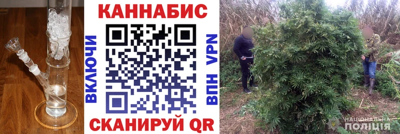 Бошки Шишки план Стрежевой